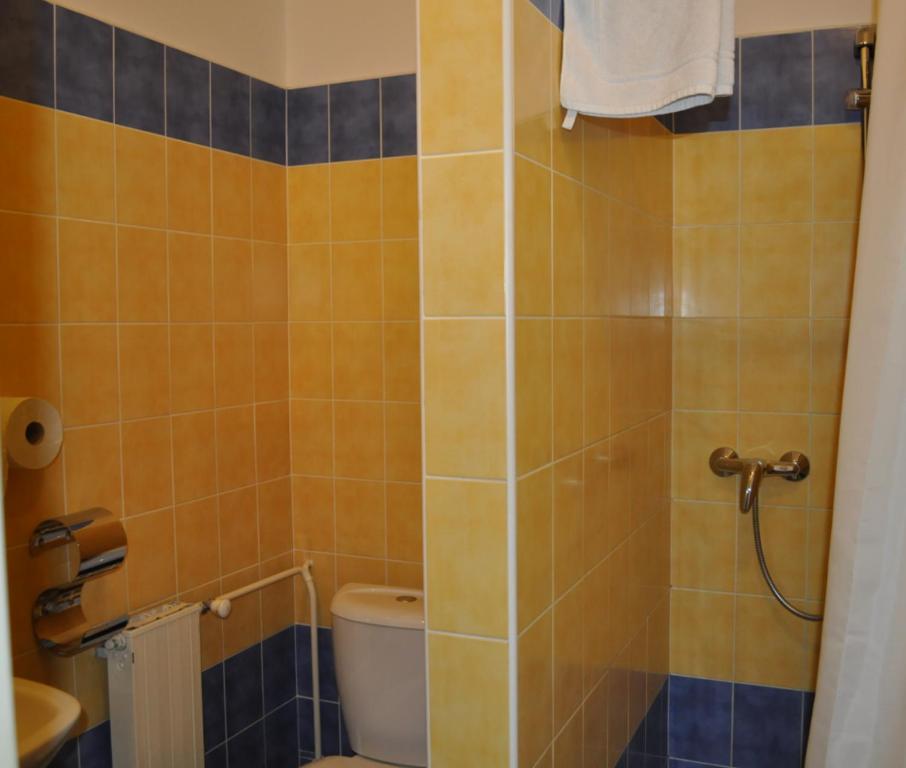Sport Hotel Ostrov Trenčín Стая снимка